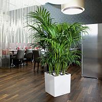 Кашпо Lechuza Cube (красный лакированный)