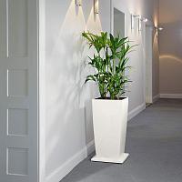 Подставка на роликах для кашпо Lechuza Cubico (белый)