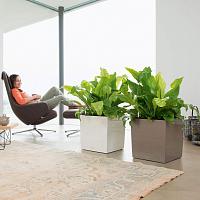 Кашпо Lechuza Cube (черный лакированный)