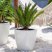 Кашпо Ola Dom Couple Deluxe (белый лакированный)