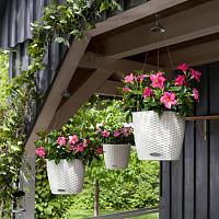 Кашпо подвесное Lechuza Nido Cottage (бежевый)