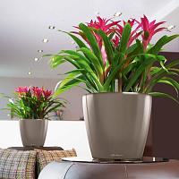 Кашпо Lechuza Classico LS (черный лакированный)