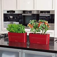 Кашпо Lechuza Delta 20 (красный лакированный)