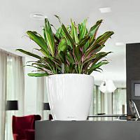 Кашпо Lechuza Classico LS (черный лакированный)