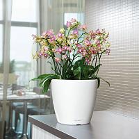 Кашпо Lechuza Classico LS (черный лакированный)