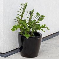 Кашпо Ola Dom Couple Deluxe (белый лакированный)