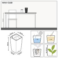Кашпо Lechuza maxi-Cubi (красный лакированный)