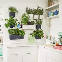 Кашпо Lechuza Green Wall Home Kit Color (серый)