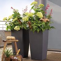 Кашпо Lechuza Cubico Color (мускатный)