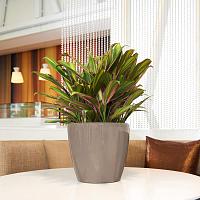 Кашпо Ola Dom Couple Deluxe (белый лакированный)