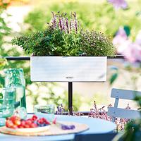 Кашпо Lechuza Cube Color Triple (белый)