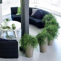 Кашпо Lechuza Rondo (белый лакированный)