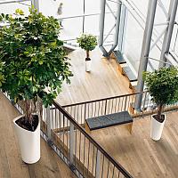 Кашпо Lechuza Delta (белый лакированный)