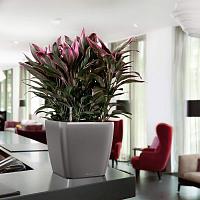 Кашпо Lechuza Quadro LS (серебристый металлик)