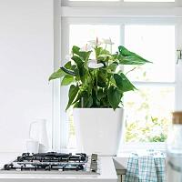 Кашпо Lechuza Quadro LS (серебристый металлик)