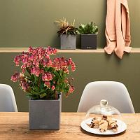 Кашпо Lechuza Canto Stone 14 (песочно-бежевый)