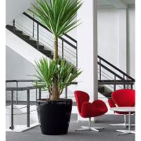 Кашпо Ola Dom Couple Deluxe (белый лакированный)