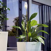 Кашпо Ola Dom Cubis Deluxe (белый лакированный)