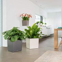 Кашпо Lechuza Cube (серебристый металлик)