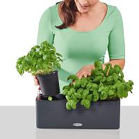 Кашпо Lechuza Cube Color Triple (белый)