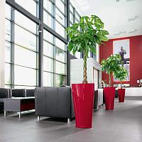 Кашпо Lechuza Delta (белый лакированный)