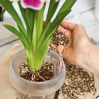 Субстрат Lechuza Orchidpon