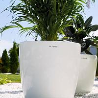 Кашпо Ola Dom Couple Deluxe (белый лакированный)