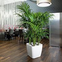 Кашпо Lechuza Quadro LS (черный лакированный)