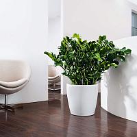 Кашпо Lechuza Classico Color (серый)
