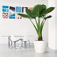 Кашпо Ola Dom Couple Deluxe (белый лакированный)