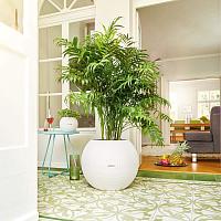 Кашпо Lechuza Puro Color 50 (бежевый)