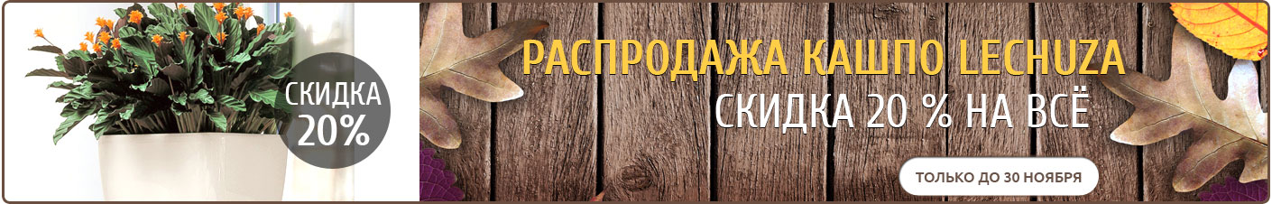 Распродажа кашпо Лечуза - скидка 20% на все!